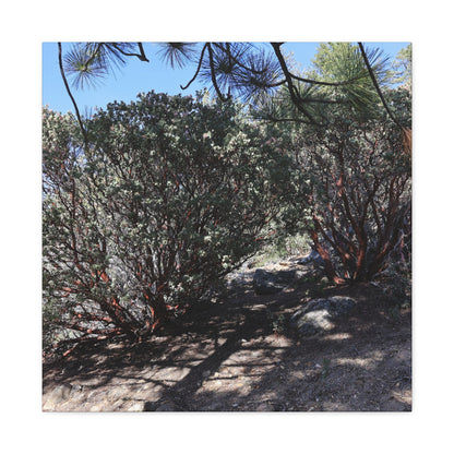 Desert Blooms - Unique Frameless Canvas Wall Art