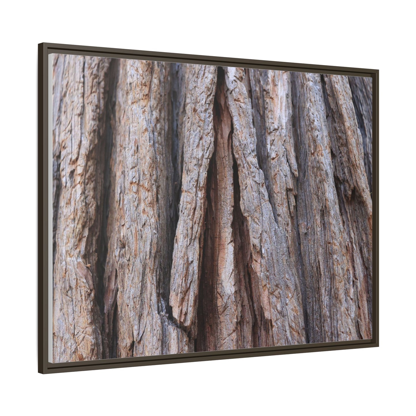 Nature's Sculpture - Unique Stretched Canvas Wall Art - Art By Earth