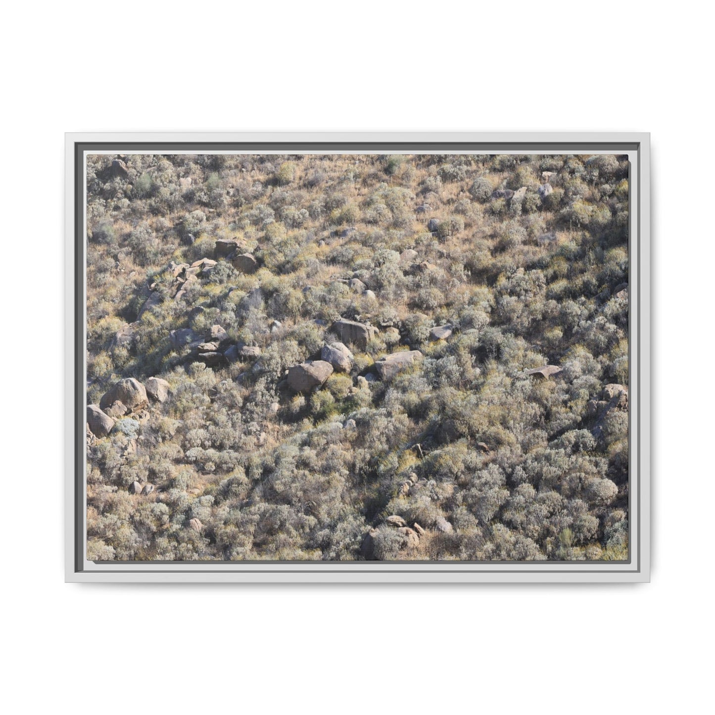 Arid Terrain Study - Unique Stretched Canvas Wall Art - Art By Earth