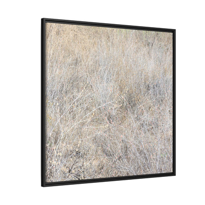 Whispers of Dry Grass - Unique Stretched Canvas Wall Art - Art By Earth