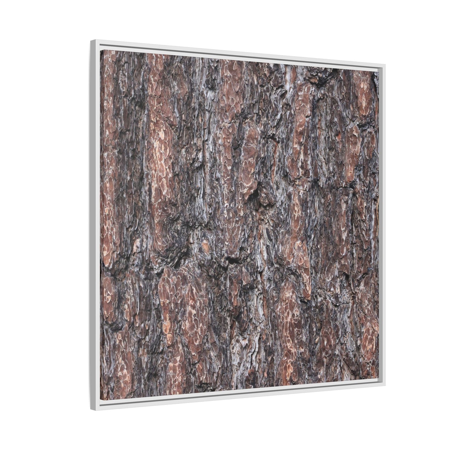 Echoes of Wood - Unique Stretched Canvas Wall Art