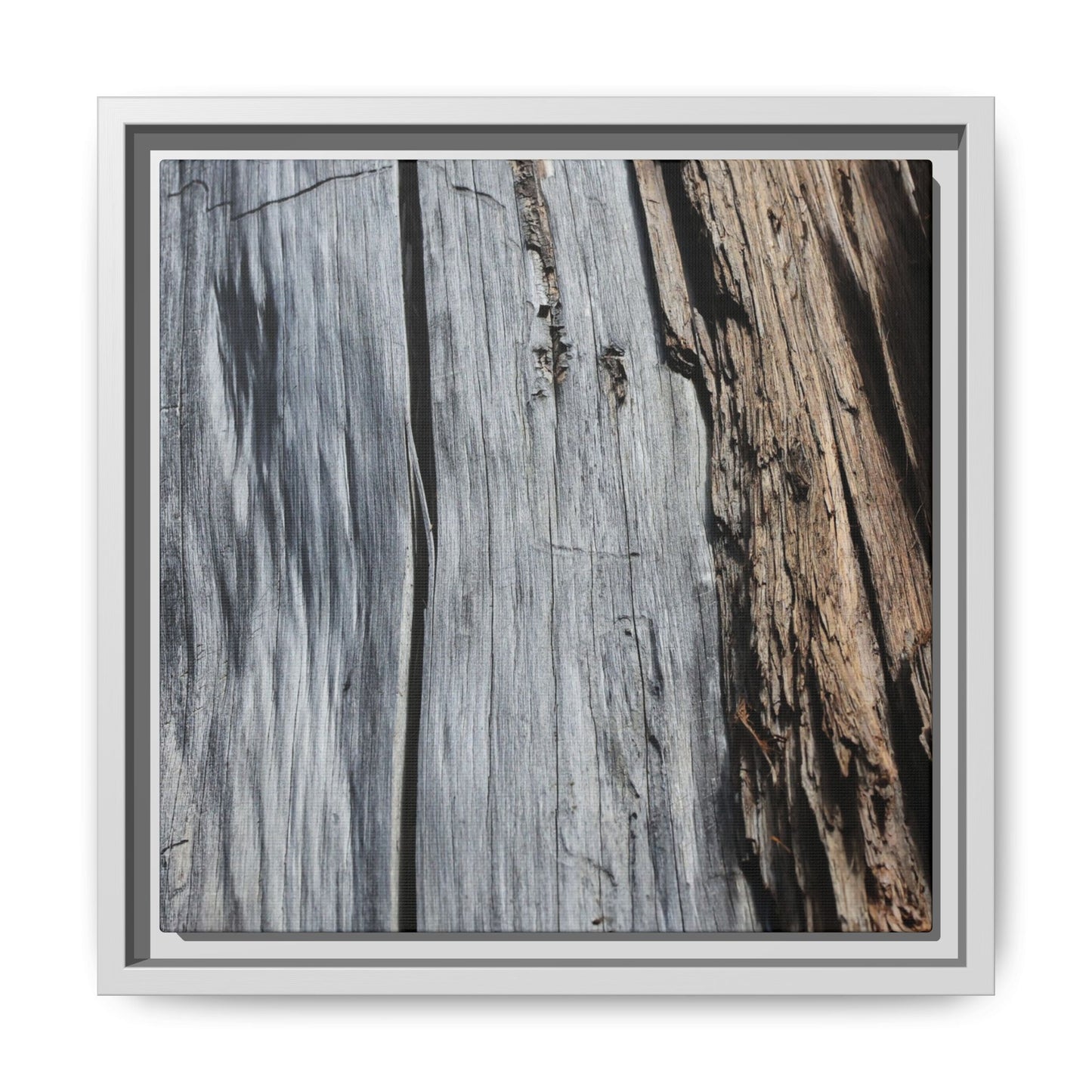 Wood's Lament - Unique Stretched Canvas Wall Art - Art By Earth