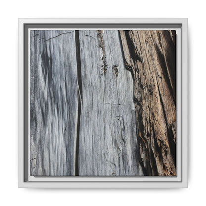 Wood's Lament - Unique Stretched Canvas Wall Art - Art By Earth