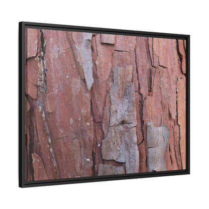Peeling Bark - Unique Stretched Canvas Wall Art - Art By Earth
