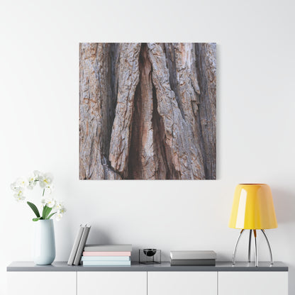 Fractured Skin of Time - Unique Frameless Canvas Wall Art - Art By Earth
