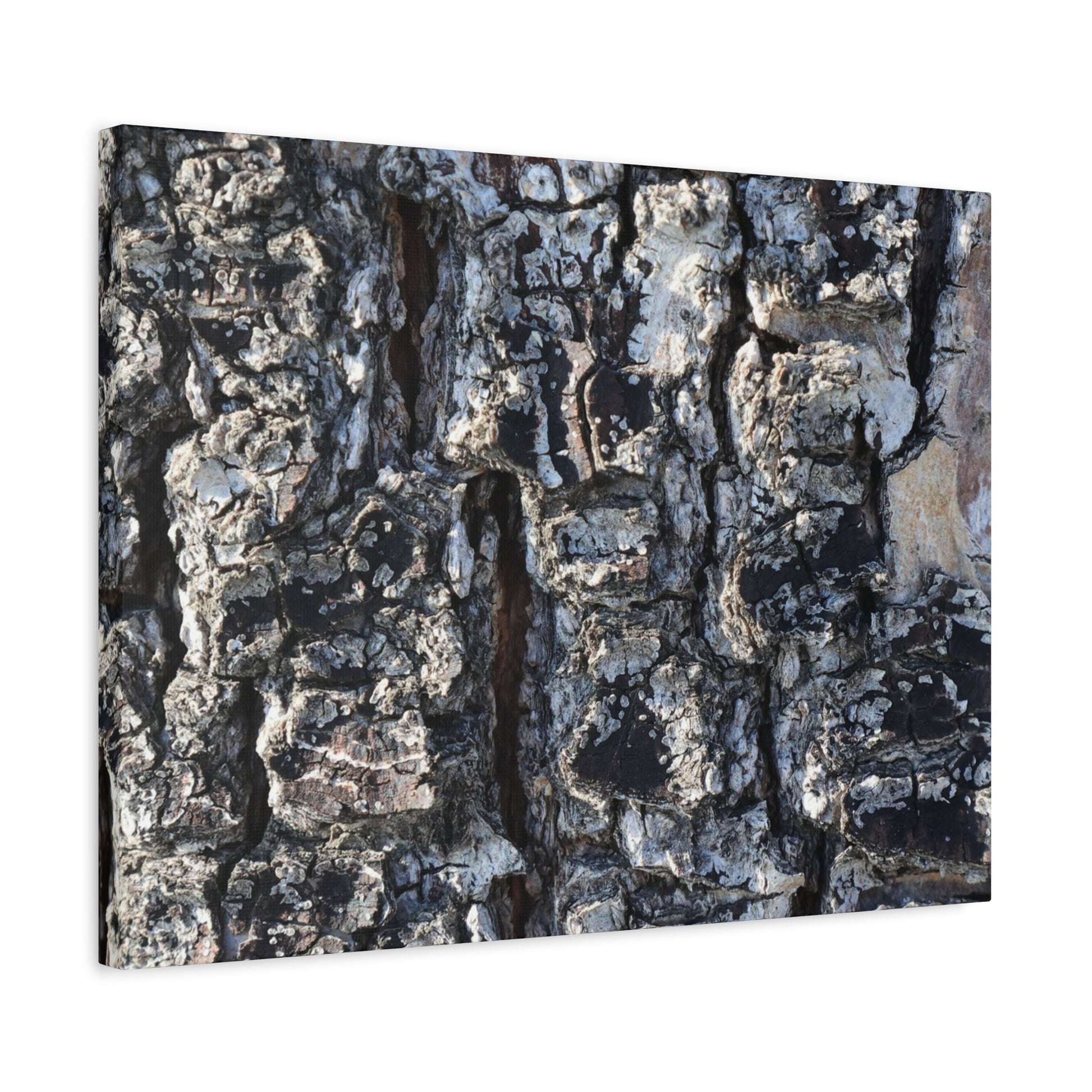 Textured Whispers of the Ancient Tree - Unique Frameless Canvas Wall Art - Art By Earth
