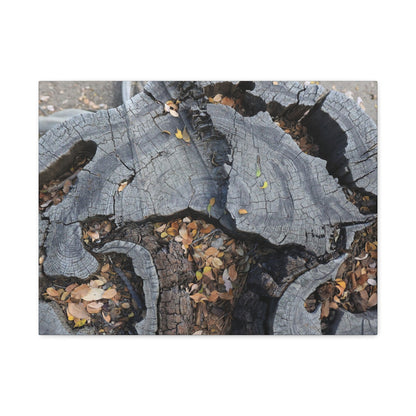 Weathered Woodland Whispers - Unique Frameless Canvas Wall Art - Art By Earth