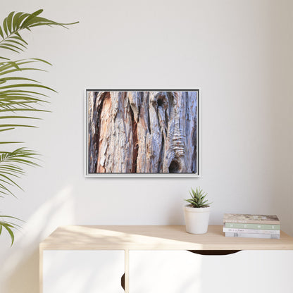 Nature's Grain - Unique Stretched Canvas Wall Art - Art By Earth