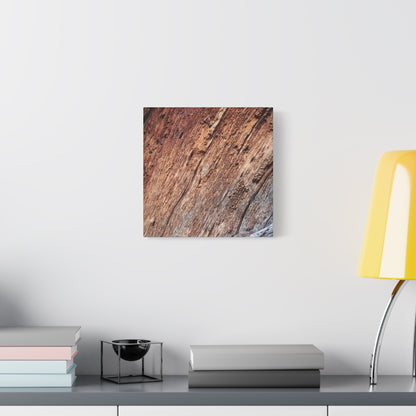 Natural Wood Grain - Unique Frameless Canvas Wall Art - Art By Earth
