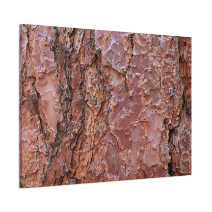 Rusty Textures - Unique Frameless Canvas Wall Art - Art By Earth