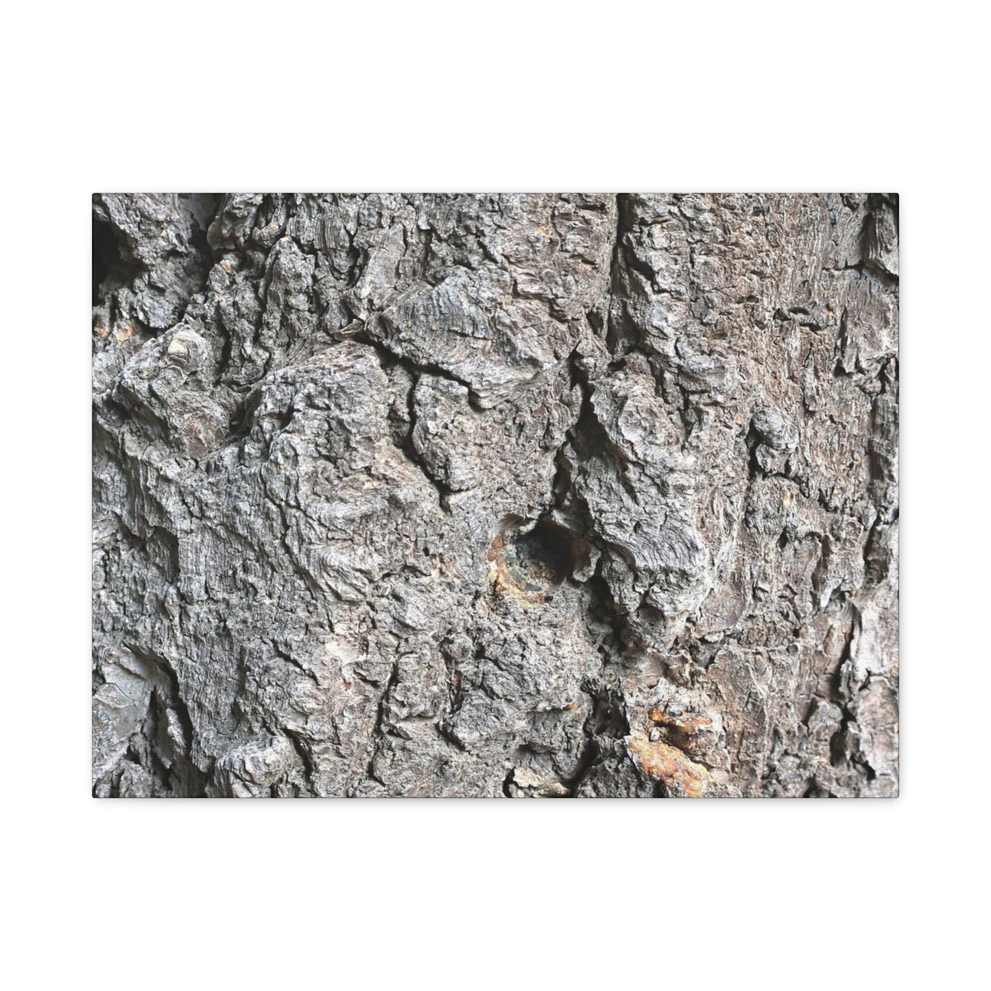 Elemental Canvas - Unique Frameless Canvas Wall Art - Art By Earth