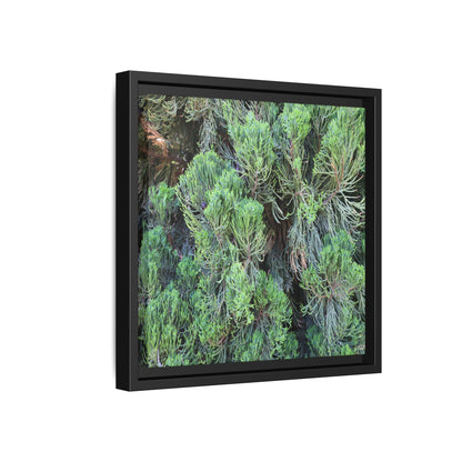 Verdant Whispers - Unique Stretched Canvas Wall Art - Art By Earth