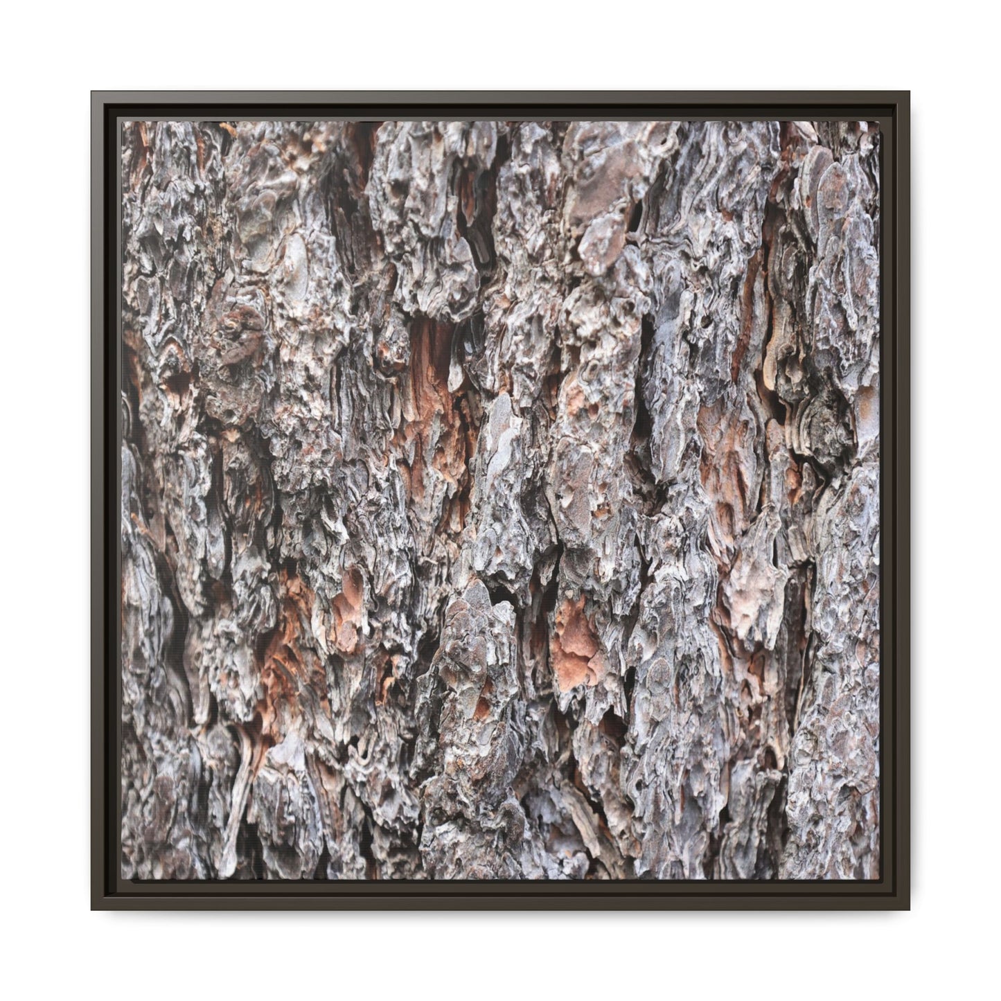 Rugged Cortex - Unique Stretched Canvas Wall Art - Art By Earth