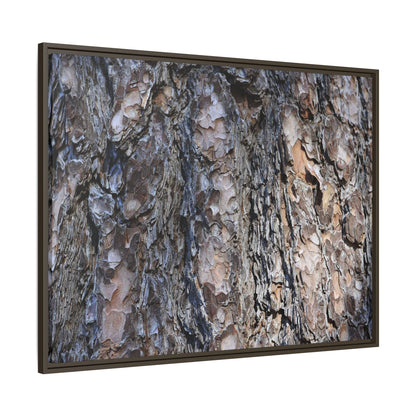 Weathered Patterns - Unique Stretched Canvas Wall Art - Art By Earth
