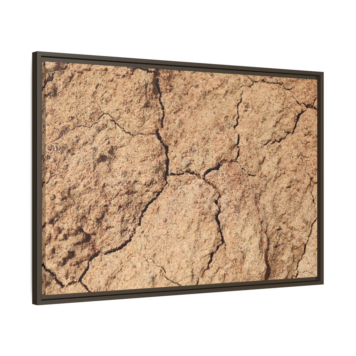 Parched Land - Unique Stretched Canvas Wall Art - Art By Earth
