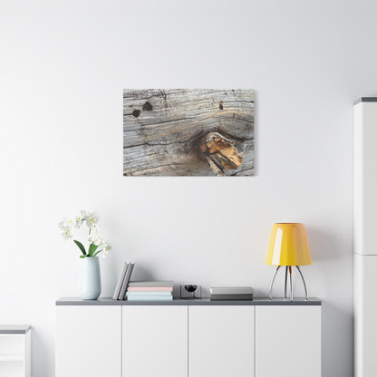 Weathered Wood Portrait - Unique Frameless Canvas Wall Art - Art By Earth