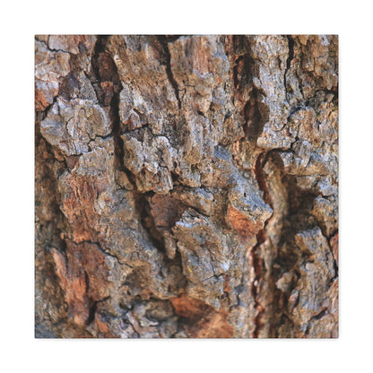 Nature's Skin - Unique Frameless Canvas Wall Art - Art By Earth