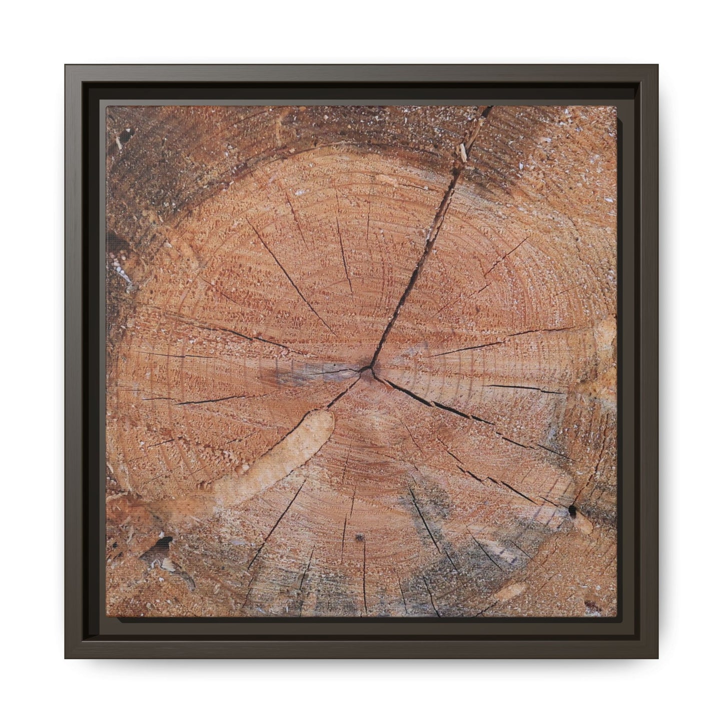 Concentric Memories - Unique Stretched Canvas Wall Art - Art By Earth