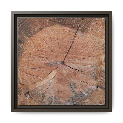 Concentric Memories - Unique Stretched Canvas Wall Art - Art By Earth