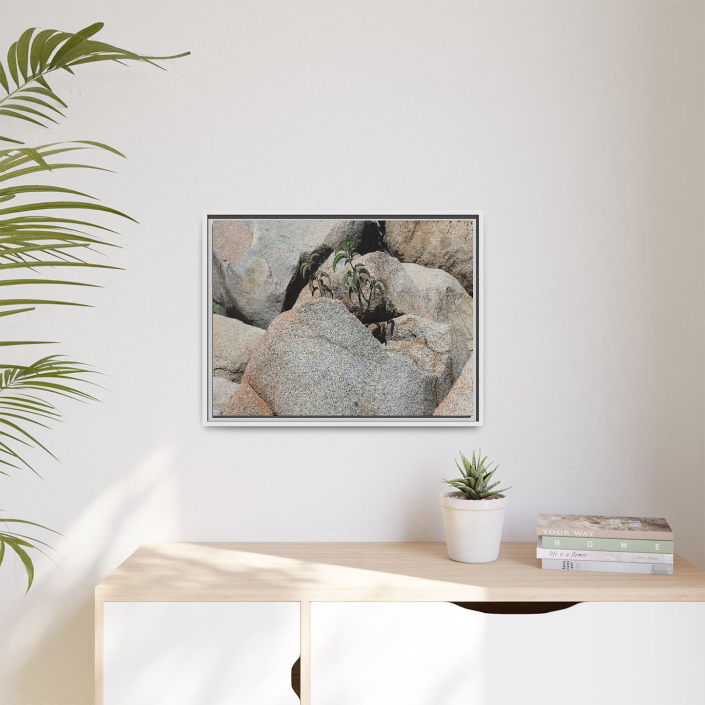 Desert Plant Thriving Among Rocks - Unique Stretched Canvas Wall Art