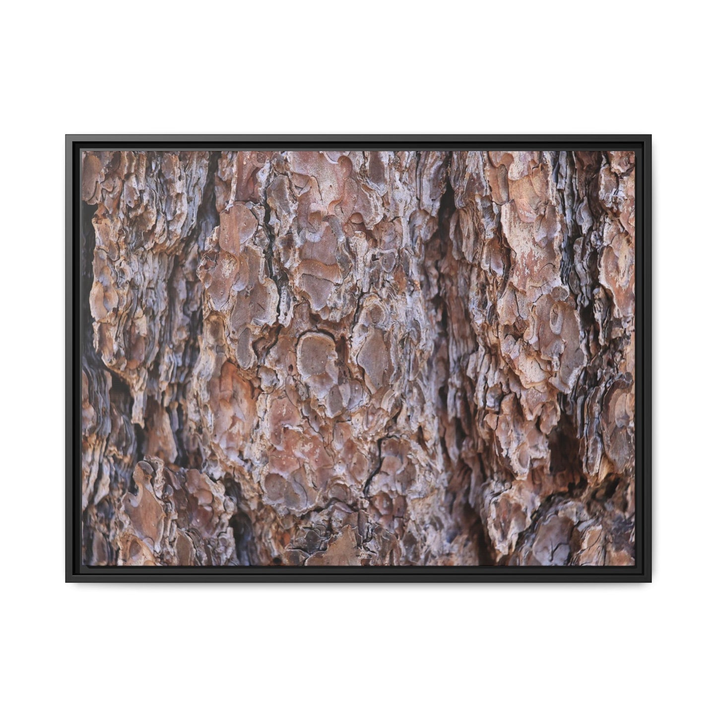 Woody Layers - Unique Stretched Canvas Wall Art - Art By Earth