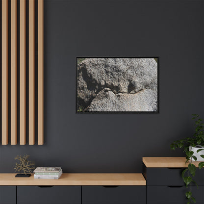 Stone Skull in Desert - Unique Stretched Canvas Wall Art