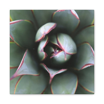 Emerald Spiral - Unique Frameless Canvas Wall Art - Art By Earth