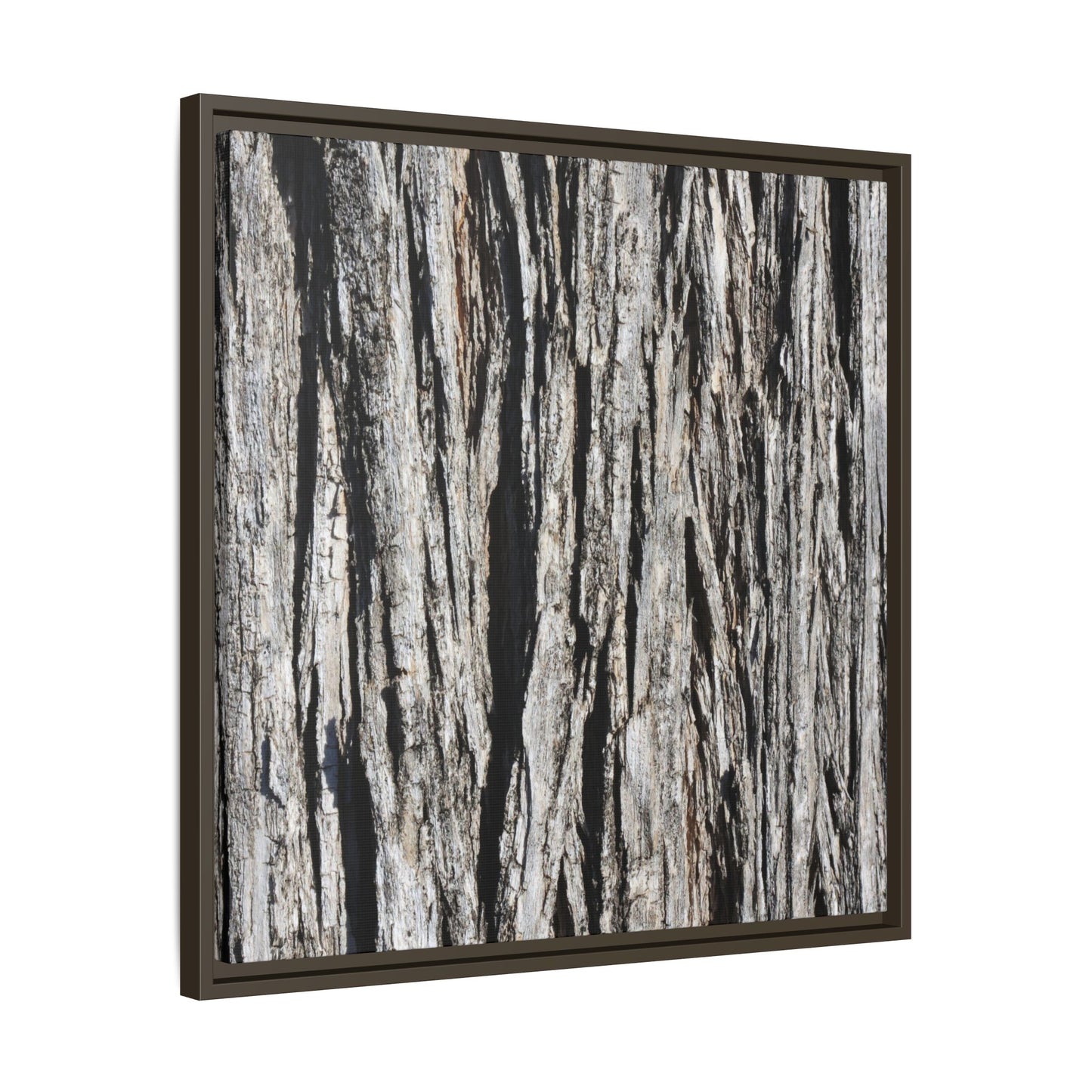Bark Lines - Unique Stretched Canvas Wall Art - Art By Earth