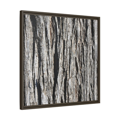 Bark Lines - Unique Stretched Canvas Wall Art - Art By Earth