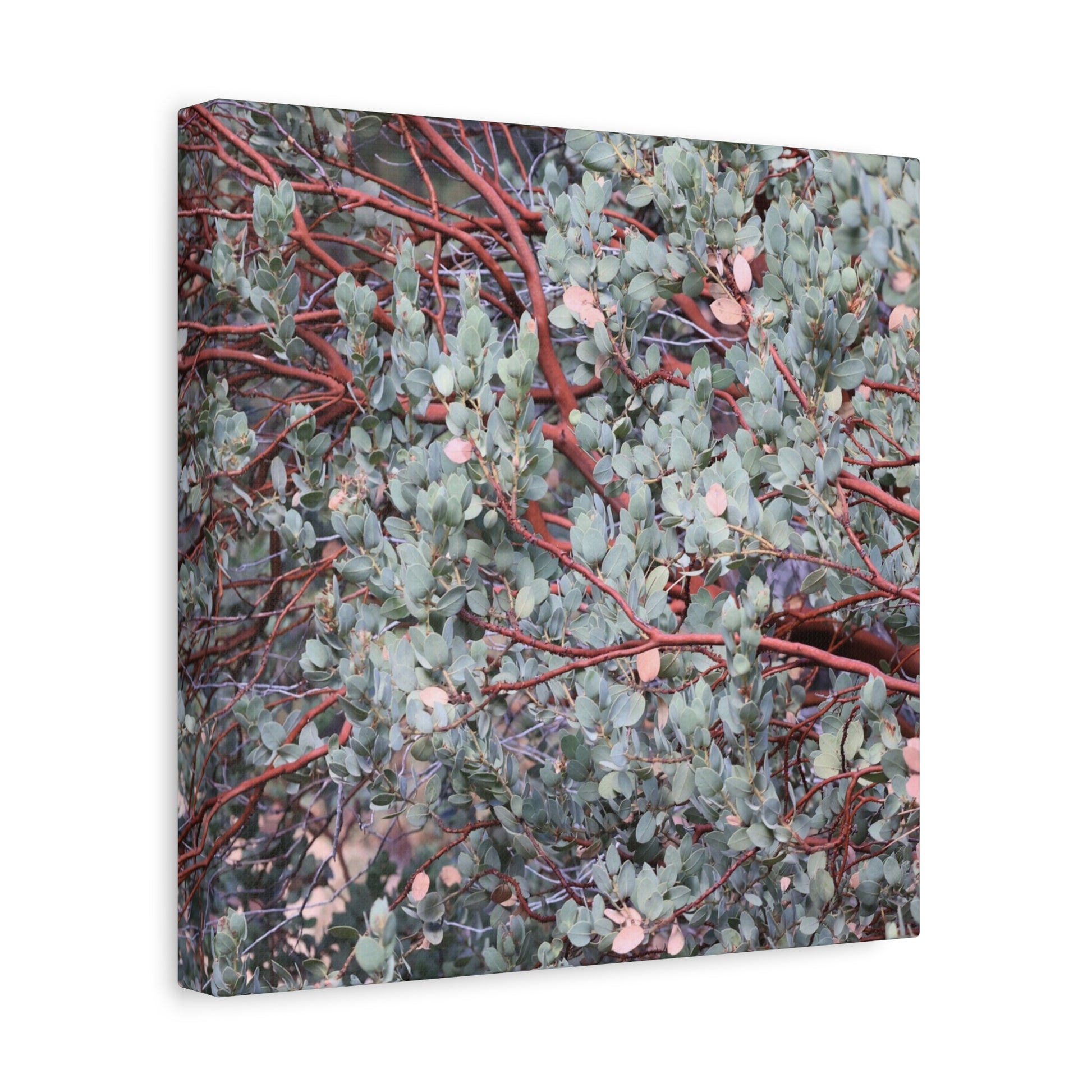 Whispers of Silver and Rust - Unique Frameless Canvas Wall Art - Art By Earth