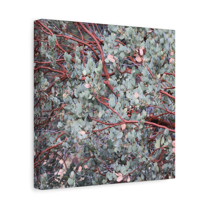 Whispers of Silver and Rust - Unique Frameless Canvas Wall Art - Art By Earth