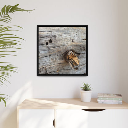 Weathered Wood Texture - Unique Stretched Canvas Wall Art - Art By Earth