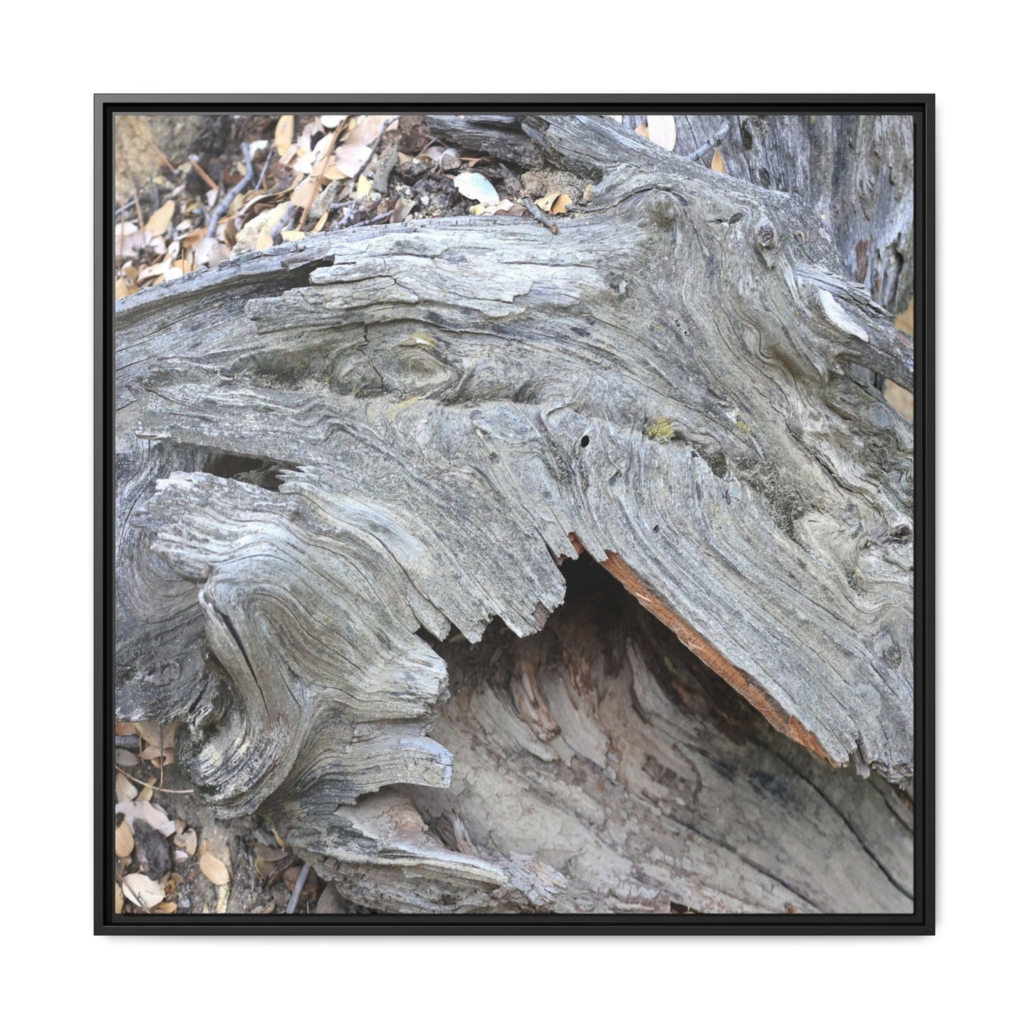 Driftwood Dreams - Unique Stretched Canvas Wall Art - Art By Earth