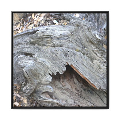 Driftwood Dreams - Unique Stretched Canvas Wall Art - Art By Earth