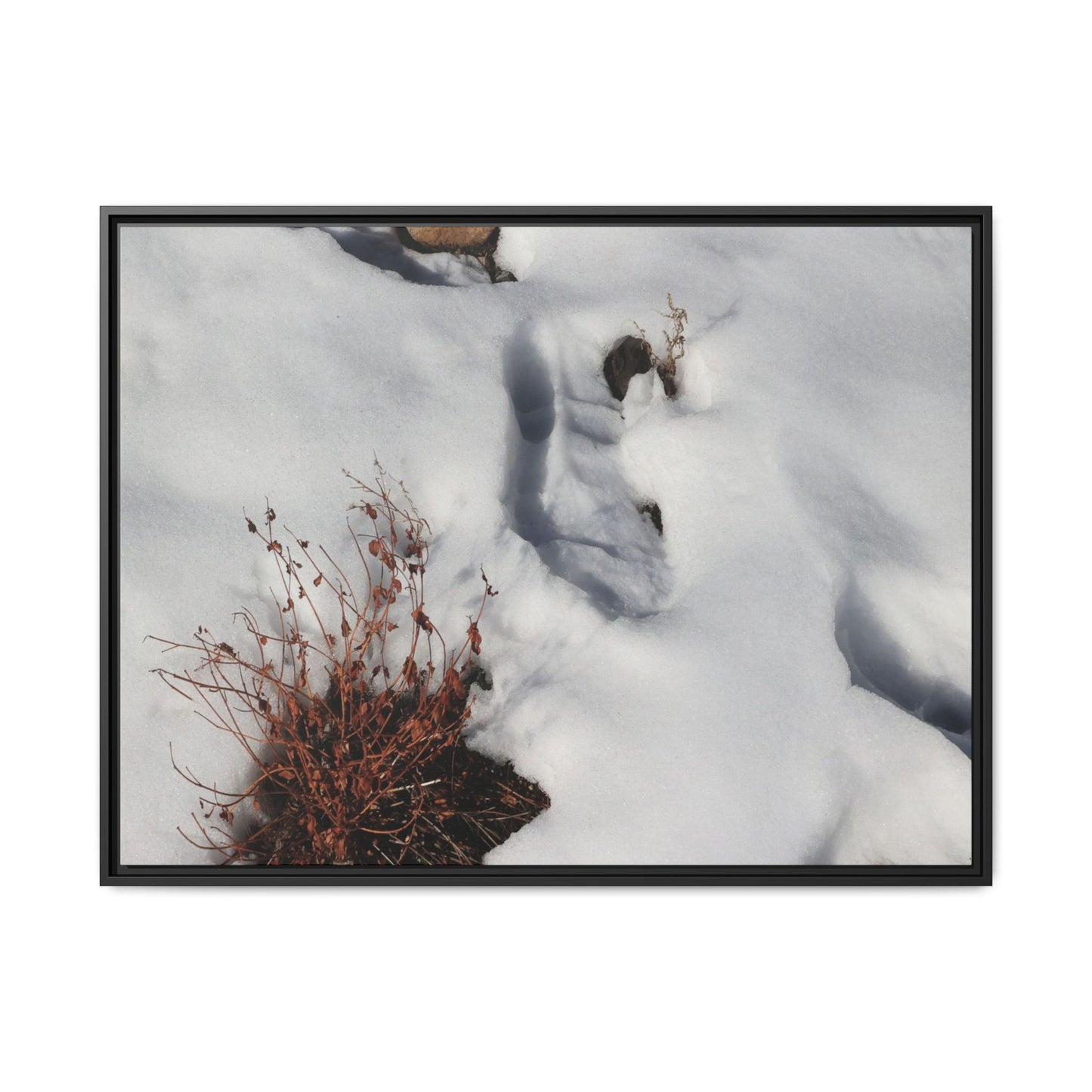 Frostbound Whispers - Unique Stretched Canvas Wall Art