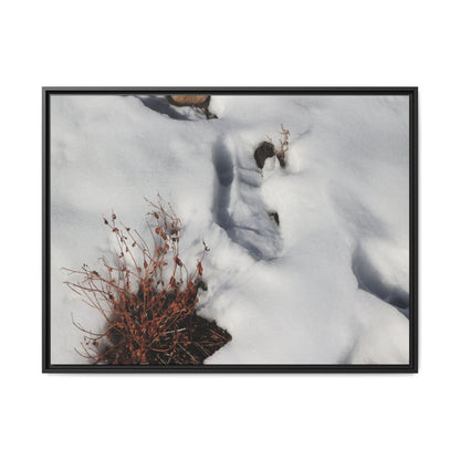 Frostbound Whispers - Unique Stretched Canvas Wall Art