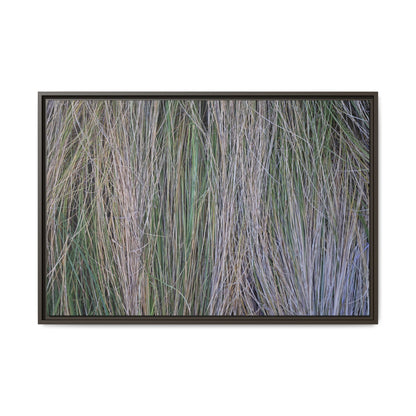 Whispers of Silver Grass - Unique Stretched Canvas Wall Art - Art By Earth