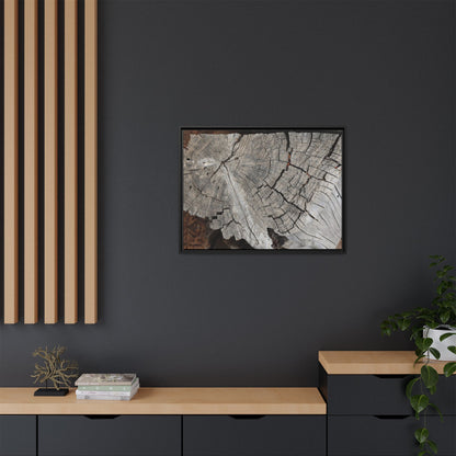 Time's Signature - Unique Stretched Canvas Wall Art - Art By Earth