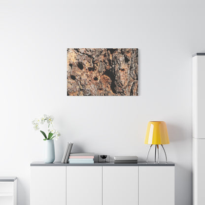 Tree Bark Mosaic - Unique Frameless Canvas Wall Art - Art By Earth