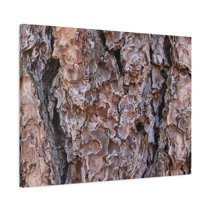 Rough Canvas - Unique Frameless Canvas Wall Art - Art By Earth