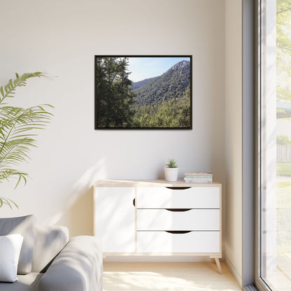 Mountain Valley Forest - Unique Stretched Canvas Wall Art