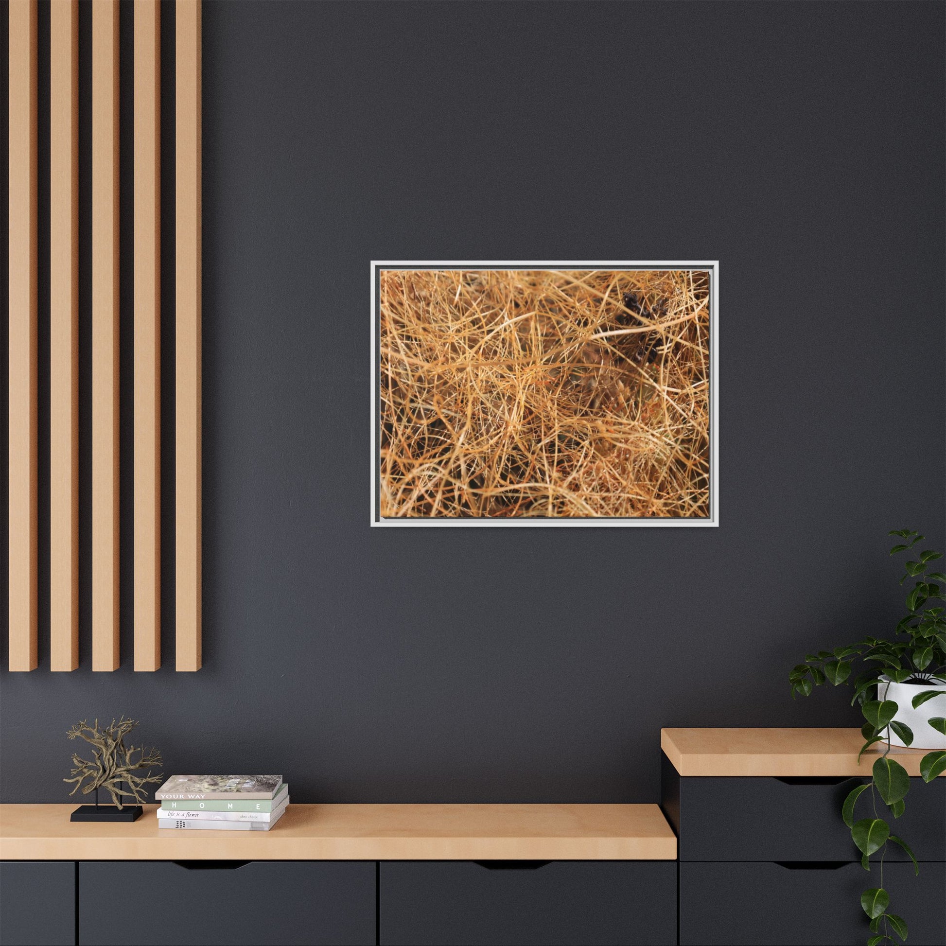 Dried Grass - Unique Stretched Canvas Wall Art - Art By Earth