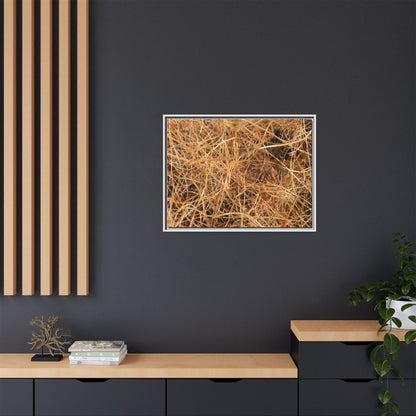 Dried Grass - Unique Stretched Canvas Wall Art - Art By Earth