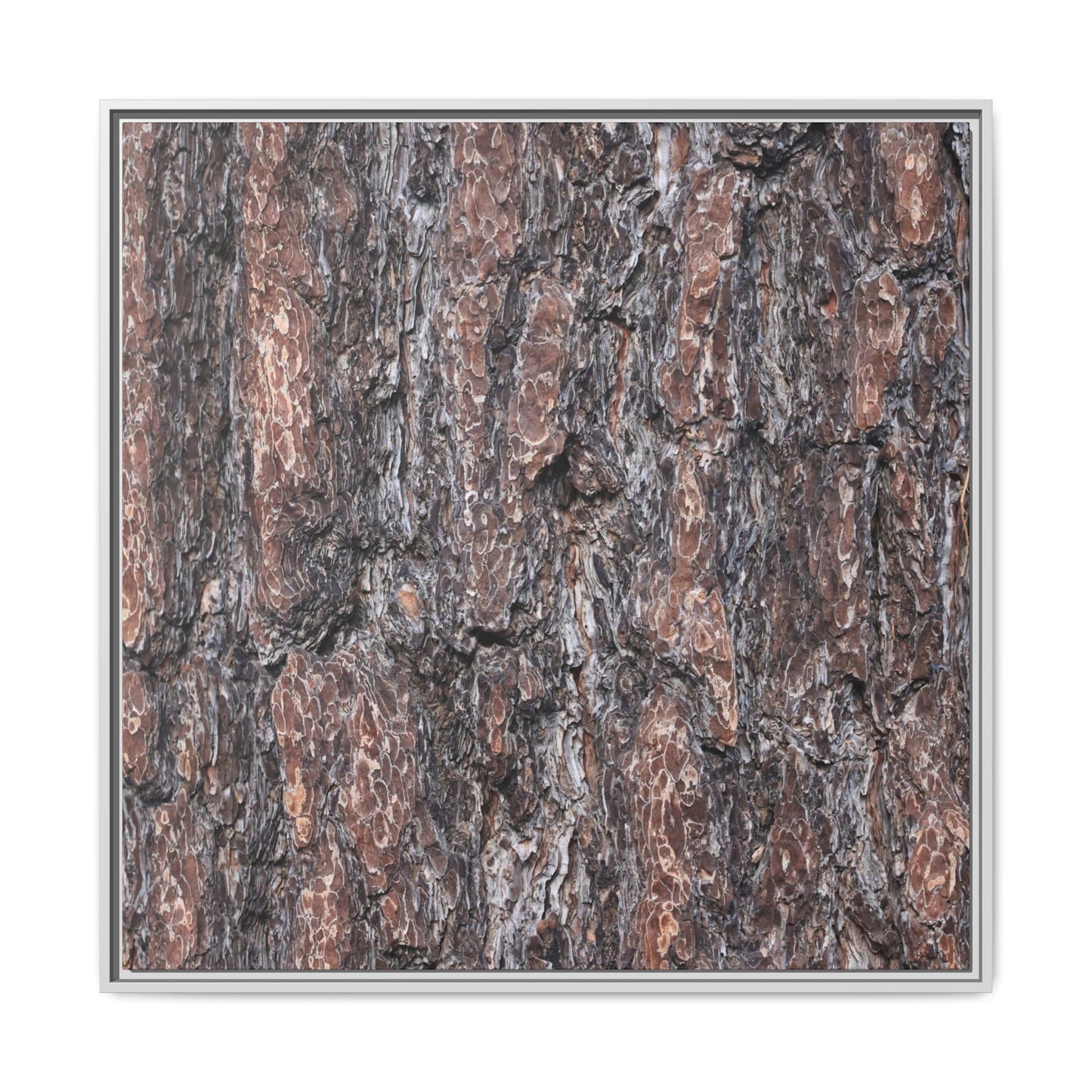 Echoes of Wood - Unique Stretched Canvas Wall Art