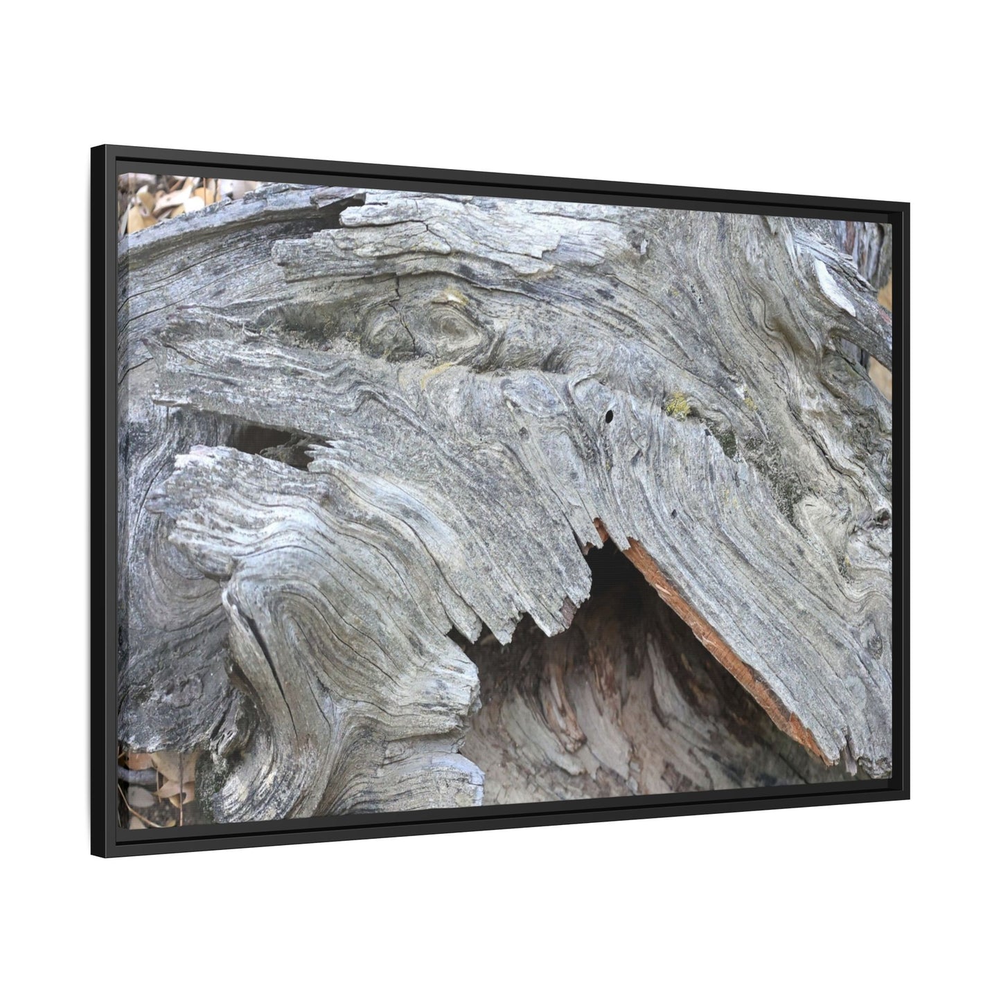 Driftwood Dreams - Unique Stretched Canvas Wall Art - Art By Earth