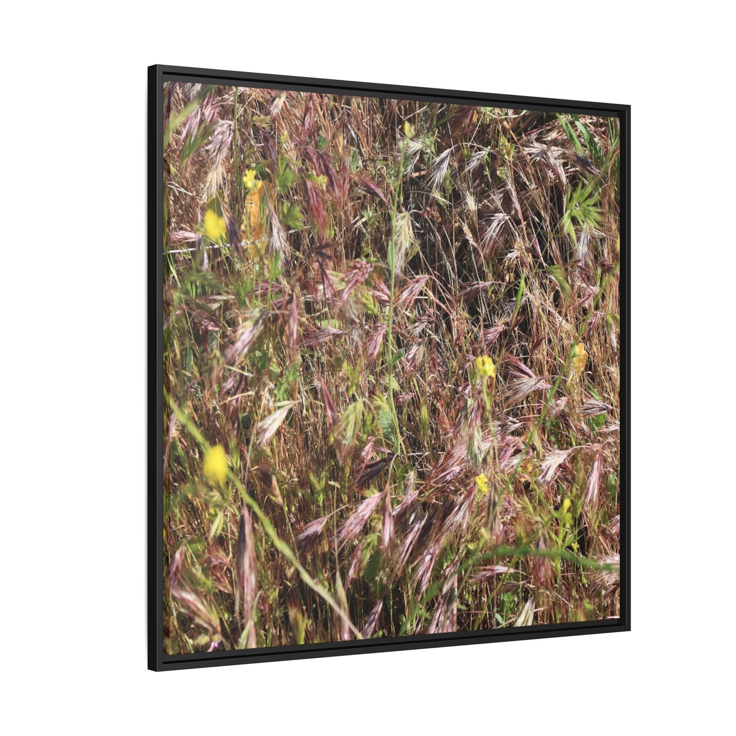 Autumn Meadow - Unique Stretched Canvas Wall Art - Art By Earth