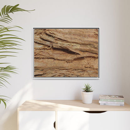 Splintered Bark - Unique Stretched Canvas Wall Art - Art By Earth