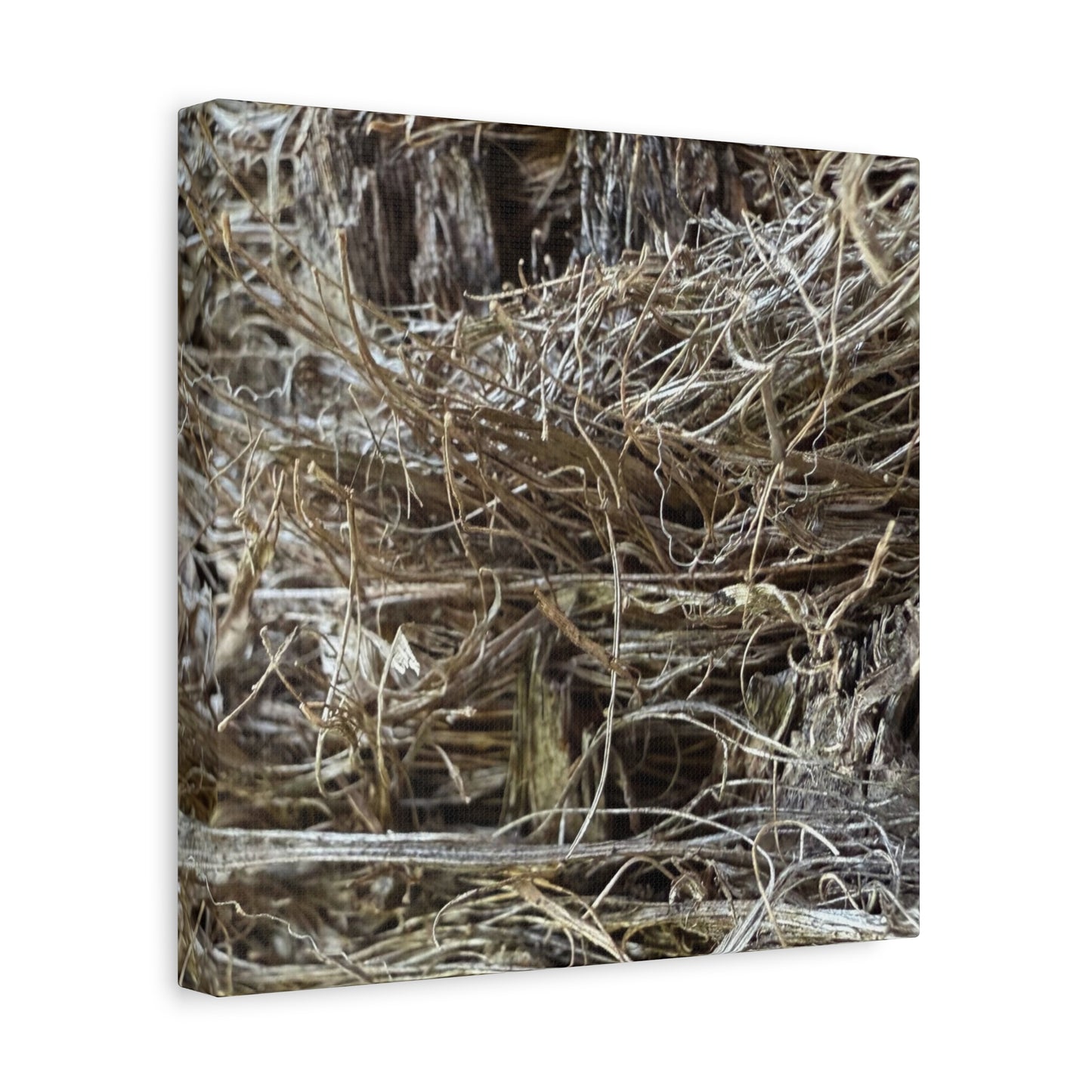 Whispers in Dry Grass - Unique Frameless Canvas Wall Art - Art By Earth