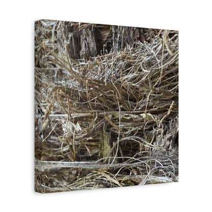 Whispers in Dry Grass - Unique Frameless Canvas Wall Art - Art By Earth