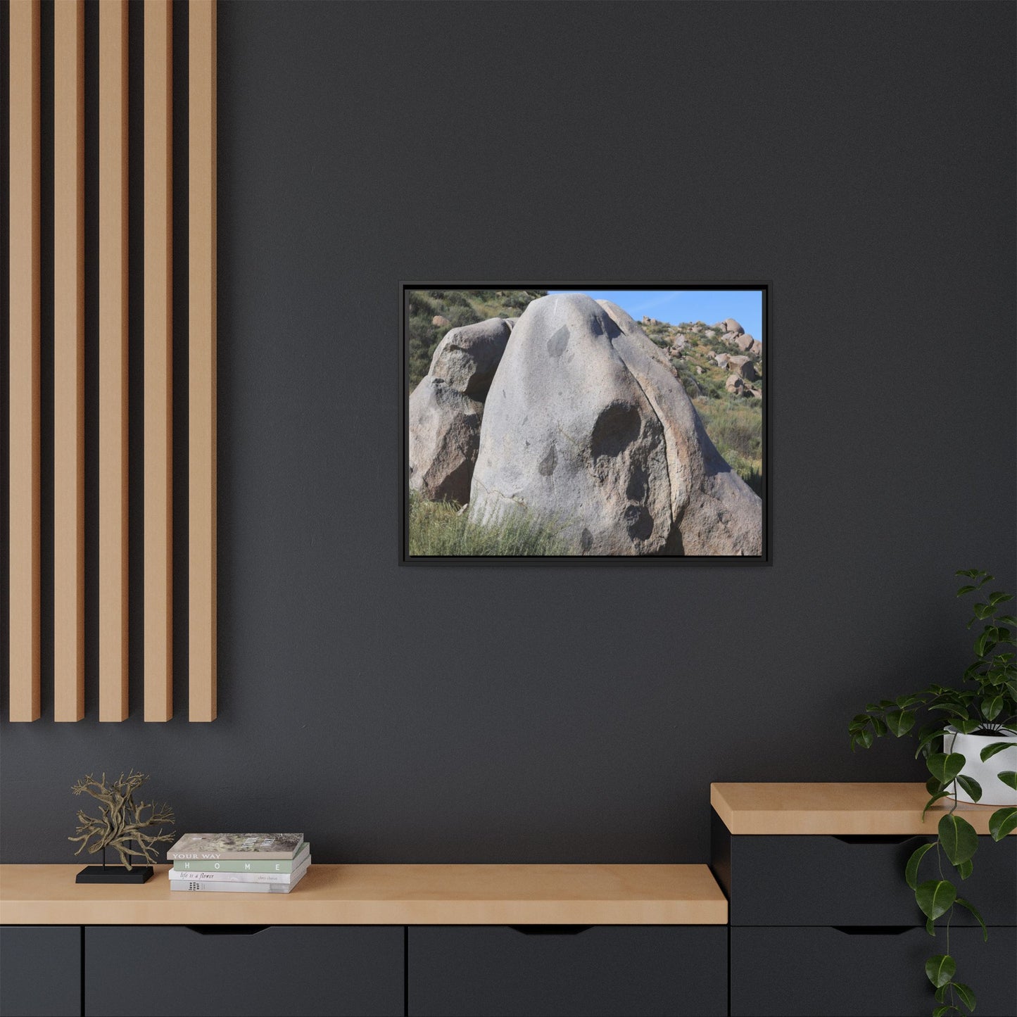 Skull Rock Desert - Unique Stretched Canvas Wall Art - Art By Earth